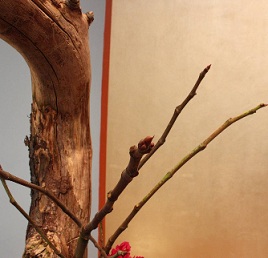 1<sup>e</sup> Advent zondag 2 december