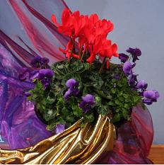 2e Advent zondag 6 december