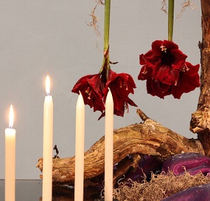 2<sup>e</sup> Advent zondag 9 december