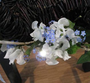 Doop van Friso Looij en Bastiaan van Noordenne