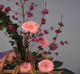 Vierde Advent zondag 19 december