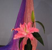 3e Advent zondag 13 december