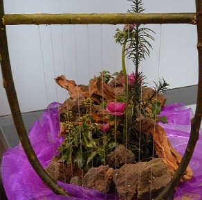 1e zondag 17 februari