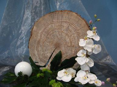 Gedachteniszondag 22 november