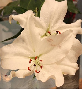 Gedachteniszondag 25 november