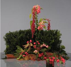 Vredeszondag 26 september