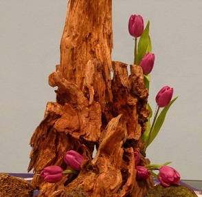 Eerste zondag 40 dagentijd