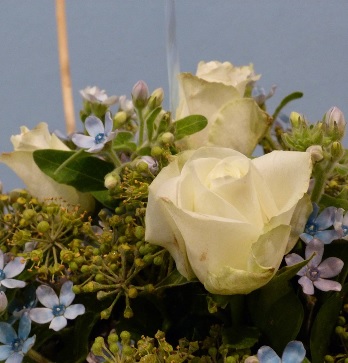 Doop Djaylano Aberry